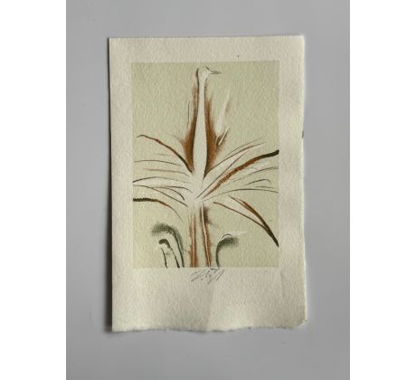 2. Jaroslav Šerých / barevná litografie