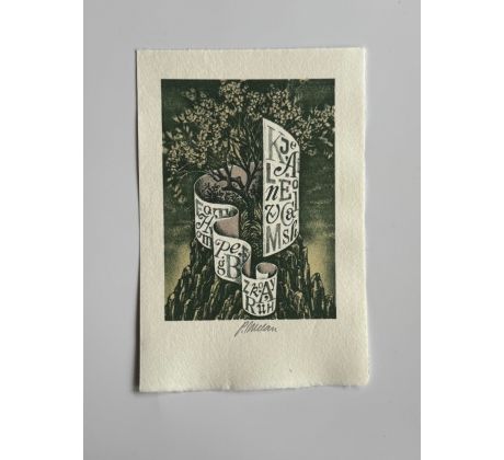 Petr Melan / barevná litografie