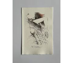 Daniela Havlíčková / barevná litografie