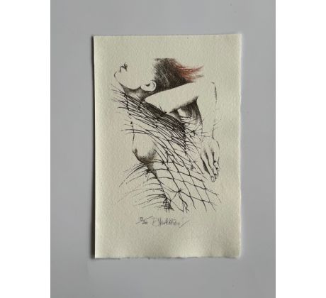 Daniela Havlíčková / barevná litografie