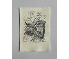 Anna Khunová / barevná litografie