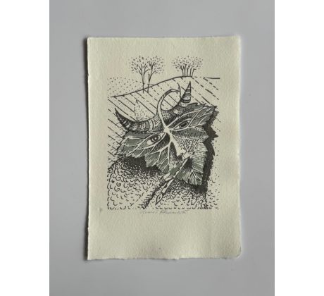 Anna Khunová / barevná litografie