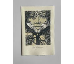 Miloslav Disman / barevná litografie