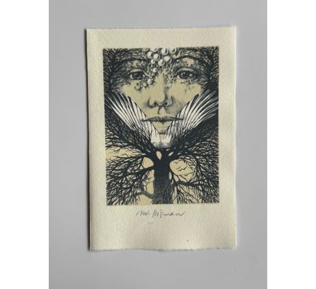 Miloslav Disman / barevná litografie