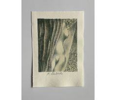 Karel Laštovka / barevná litografie