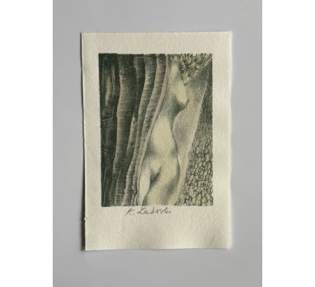 Karel Laštovka / barevná litografie