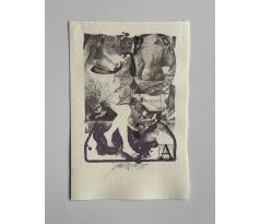 Jiří Brázda / barevná litografie