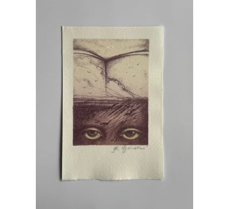 Olga Vychodilová / barevná litografie