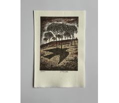 Jindřich Pileček / barevná litografie