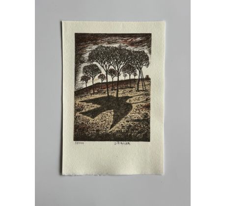 Jindřich Pileček / barevná litografie