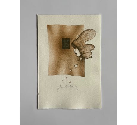 Vladimír Suchánek / barevná litografie