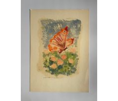 Jaroslav Kruis. Motýl / kombinovaná technika