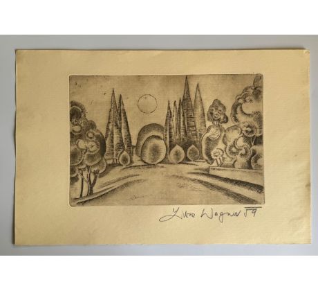 Libor Wagner / lept 6