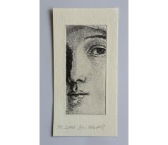 Jan Hladík / lept 3