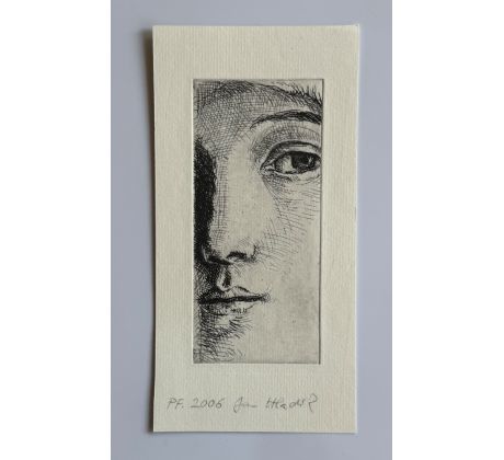 Jan Hladík / lept 3