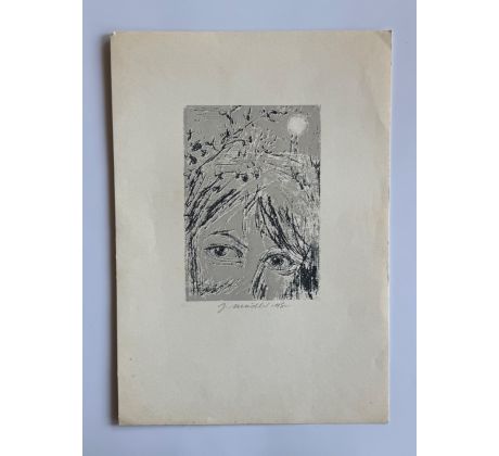 Jiří Mádlo / litografie