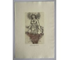 Oldřich Kulhánek / barevný lept