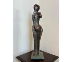 Kamil Špaček. Dana / cín