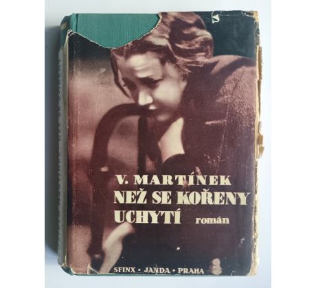 Vojtěch Martínek. Než se kořeny uchytí / ŠTYRSKÝ