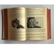 Frank D. Graham. Audels Machinist and Tool Makers Handy Book