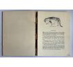 Curt Glaser. Edvard Munch / lept / etching