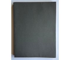 Antonín Bebr. Vítězné oblouky a slepé uličky / Kobliha František / PODPIS